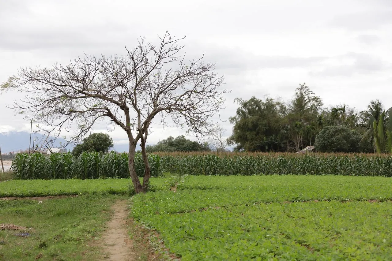 Riverside Hamlet Homestay & Villa Hoi An Vietnam
